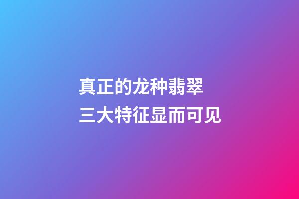 真正的龙种翡翠  三大特征显而可见